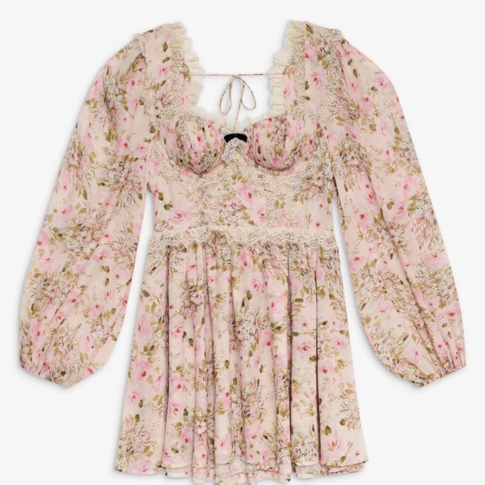 Emmaline babydoll Floral Lace-Trimmed bones bustier Dress - Picture 3 of 5